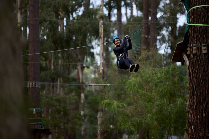 Forest Adventures - Key things to know before you go