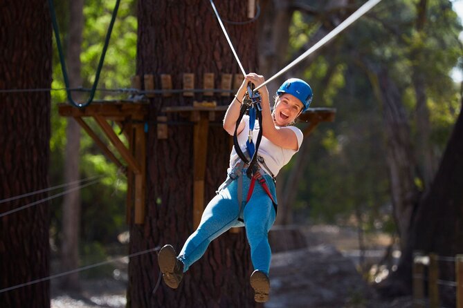 Forest Adventures - Harness up: training that keeps the day fun