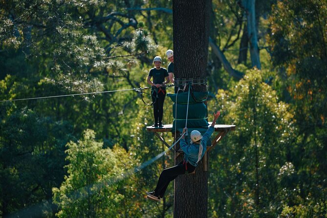 Forest Adventures - How the 2.5-hour session is structured for real momentum