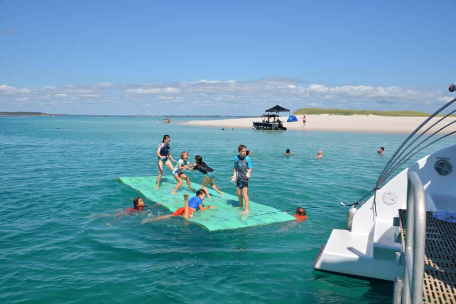 Fraser Island 4-Hour Eco-Sailing Adventure - Should you book it?