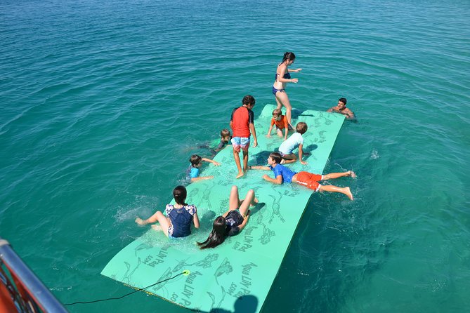Fraser Island & Dolphin Sailing Adventure - Quick highlights you’ll feel in the moment