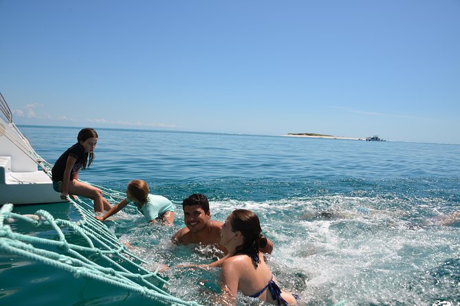 Fraser Island & Dolphin Sailing Adventure - Great Sandy National Park: why the short stop still counts