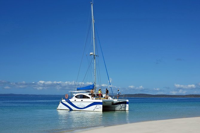Fraser Island & Dolphin Sailing Adventure - Price and value: what $78.90 buys you in real terms