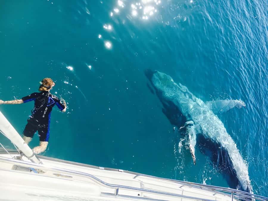 Fraser Island (K'gari): Remote Island and Whale Experience - Key Things I’d Plan Around