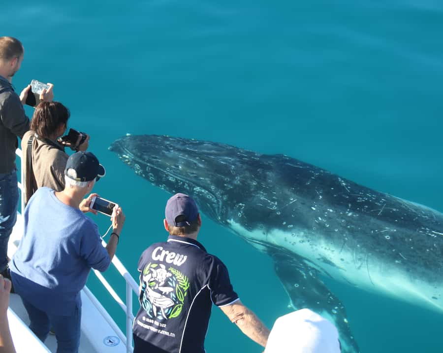 Fraser Island (K'gari): Remote Island and Whale Experience - What I Think Is Best Value in a $190, Full-Day Format