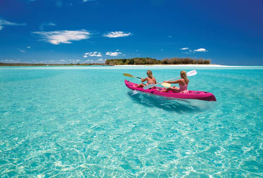 Fraser Island (K'gari): Remote Island and Whale Experience - Great Sandy Strait Wildlife Spotting Before You Even Hit the Island
