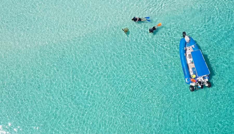 Fraser Island (K'gari): Remote Island and Whale Experience - Whales Up Close, and What the Swim With Them Really Means