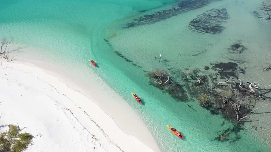 Fraser Island (K'gari): Remote Island and Whale Experience - Awinya or Bowarrady Creek: The Second Half of the Island Feel