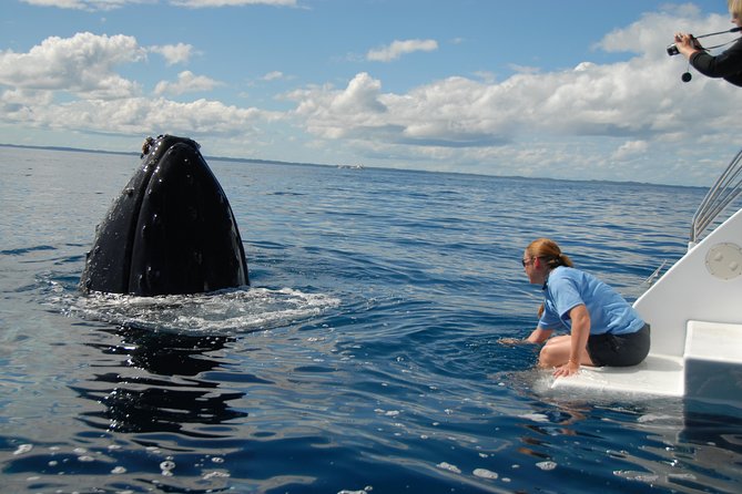 Fraser Island Whale Watch Encounter - Hydrophone whale songs: hearing what you normally miss