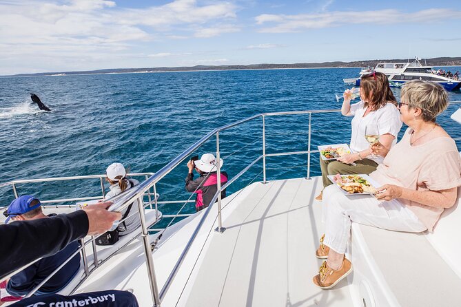 Freedom 3/4 Day Hervey Bay Premium Whale Watching Cruise - Quick take: what makes this cruise worth your time
