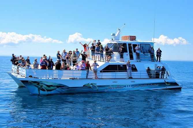 Freedom 3/4 Day Hervey Bay Premium Whale Watching Cruise - Great Sandy Marine Park to Platypus Bay, why this route matters
