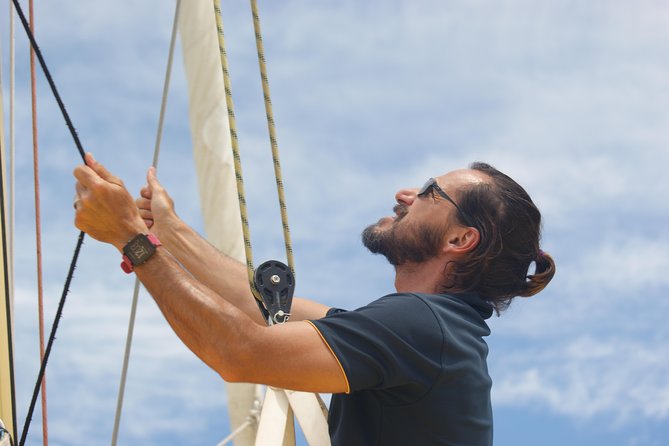 Fremantle Twilight Sail - Whales Between September and November: What to Expect