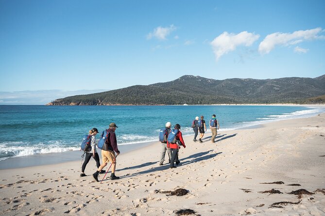 Freycinet Walking Tour - Key things that make this Freycinet tour worth it