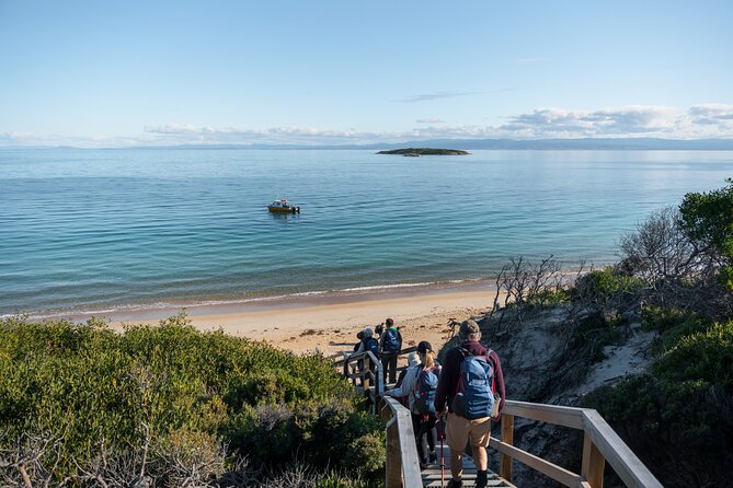 Freycinet Walking Tour - Stop 3: Hazards Beach picnic lunch where relaxation is part of the plan