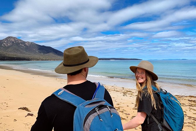 Freycinet Walking Tour - The walk in between: why eucalyptus forest wildlife adds real meaning