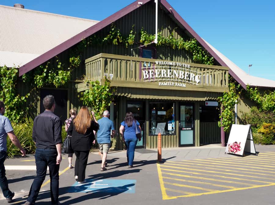 From Adelaide: Adelaide Hills, Hahndorf & Mount Lofty Tour - Four Hours Through Adelaide Hills: What You Really Get for $70
