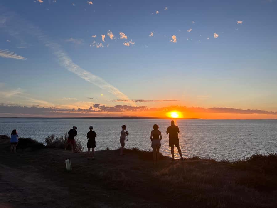 From Adelaide: Kangaroo Island Epic 2-Day Small Group Tour - Seal Bay Ranger Tour: Sea Lions in Their Real Habitat
