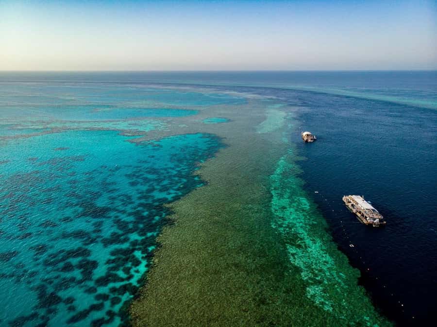 From Airlie Beach: Great Barrier Reef Adventure Cruise - Key points before you go