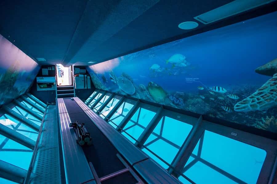 From Airlie Beach: Great Barrier Reef Adventure Cruise - Scuba add-ons: when it’s worth paying extra (and when it’s not)