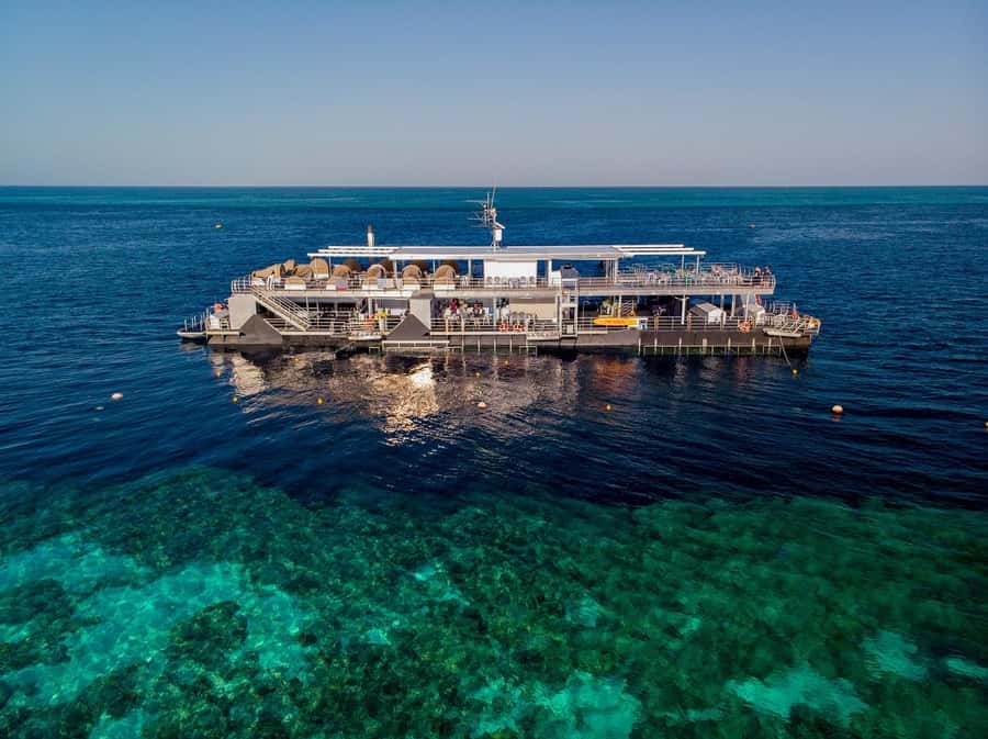 From Airlie Beach: Great Barrier Reef Adventure Cruise - Getting there from Airlie Beach: boat ride time and comfort tips