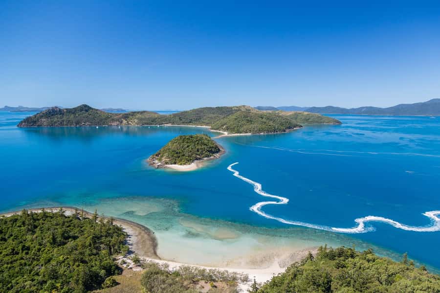 From Airlie Beach: Two-Island Safari - The 3-Hour Flow: From Courtesy Pickup to Back on Shore