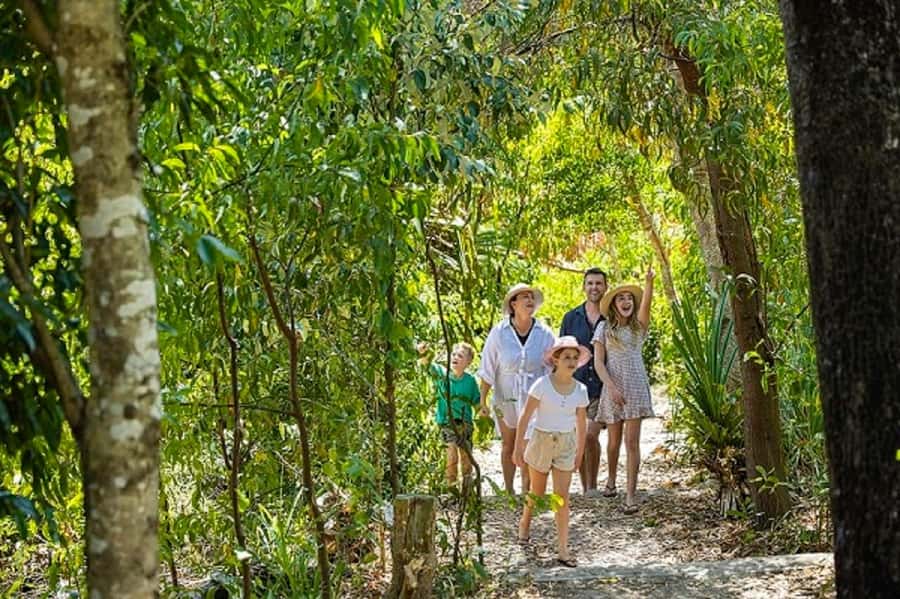 From Airlie: Whitsundays and Whitehaven Half-Day Cruise - Swimming, Stinger Suits, and Sea Conditions You Can Actually Manage