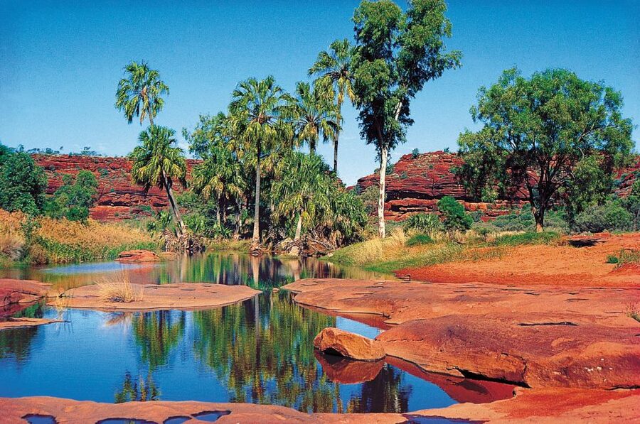 From Alice Springs: Palm Valley 4WD Outback Safari + Picnic - Key highlights worth planning for