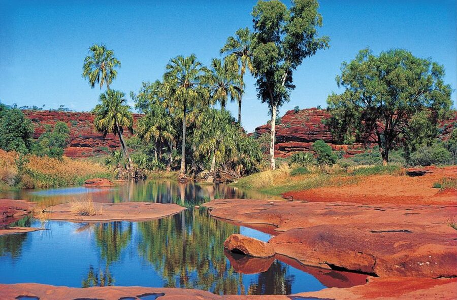 From Alice Springs: Palm Valley 4WD Outback Safari + Picnic - From Alice Springs to the West MacDonnell Ranges: a long day with good momentum