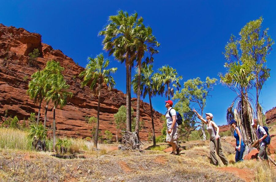 From Alice Springs: Palm Valley 4WD Outback Safari + Picnic - Finke Gorge picnic lunch: a proper pause in rugged country