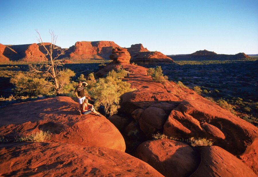 From Alice Springs: Palm Valley 4WD Outback Safari + Picnic - Price and logistics: what $171 gets you, and what costs extra