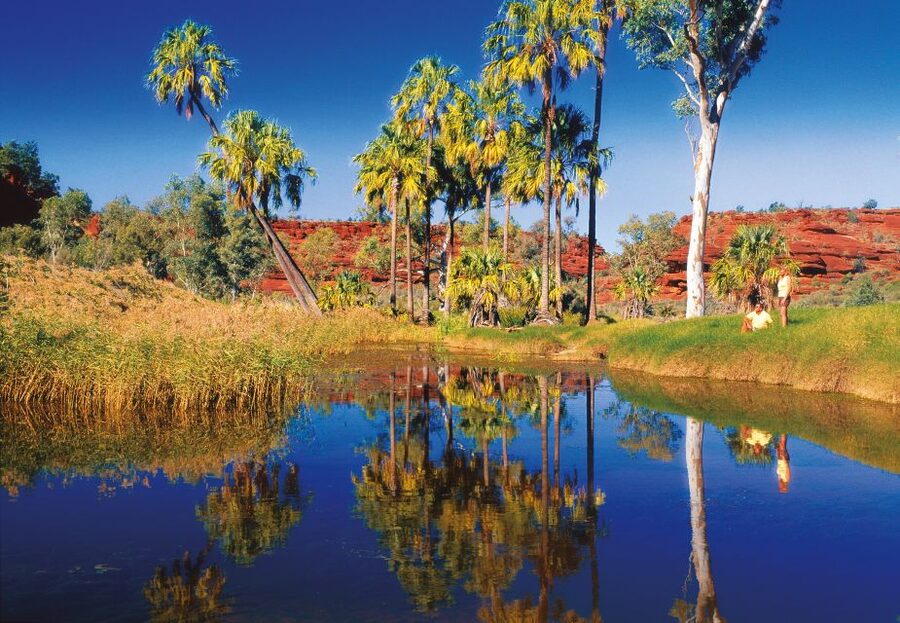 From Alice Springs: Palm Valley 4WD Outback Safari + Picnic - Comfort, fitness, and practical tips for a smoother day