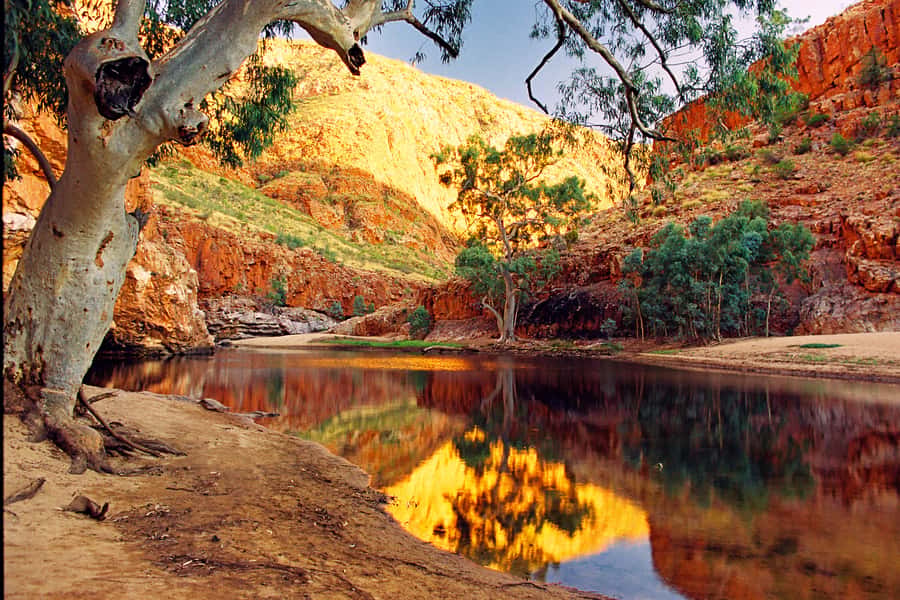 From Alice Springs: West MacDonnell Ranges Day Trip - Why This West MacDonnell Loop Works So Well