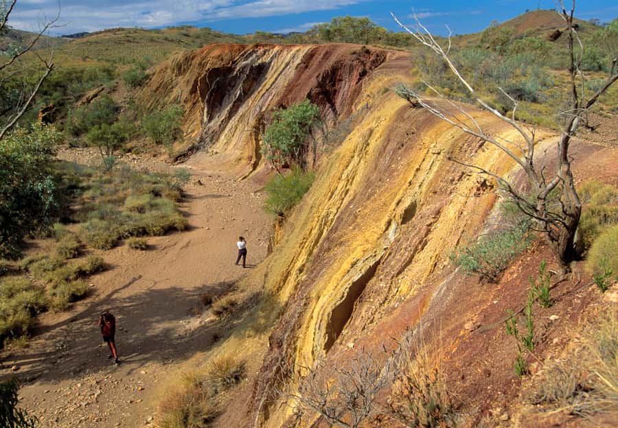 From Alice Springs: West MacDonnell Ranges Day Trip - Alice Springs Pickup: The Start Time That Sets You Up