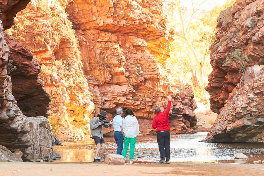 From Alice Springs: West MacDonnell Ranges Half Day Trip - Morning tea at a local cafe, then back to Alice Springs