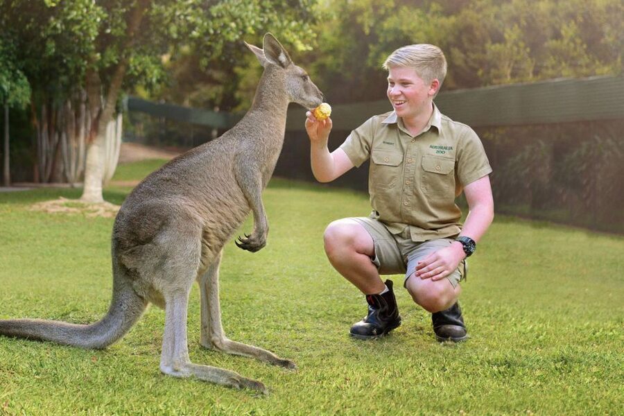 From Brisbane: Australia Zoo Ticket and Roundtrip Transfer - Pickup at Sebel Brisbane: timing you should take seriously