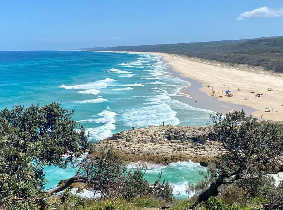 From Brisbane: North Stradbroke Island Wildlife Adventure - Key highlights worth waking up for