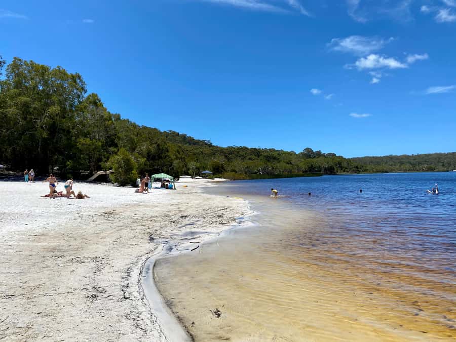 From Brisbane: North Stradbroke Island Wildlife Adventure - What the guide adds, and why Rob, Rio, and Aggie get mentioned