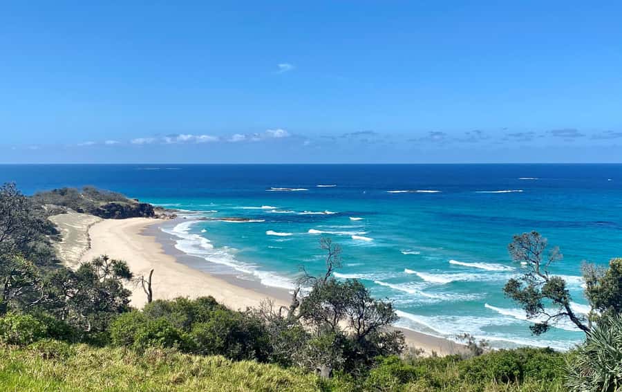 From Brisbane: North Stradbroke Island Wildlife Adventure - Why this Stradbroke day trip feels like a real island day