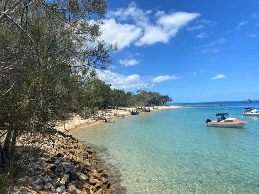 From Brisbane: North Stradbroke Island Wildlife Adventure - The Gorge Walk over the Coral Sea is the big reason to go