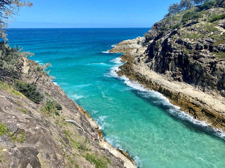 From Brisbane: North Stradbroke Island Wildlife Adventure - Getting from Brisbane to Straddie without it eating your day