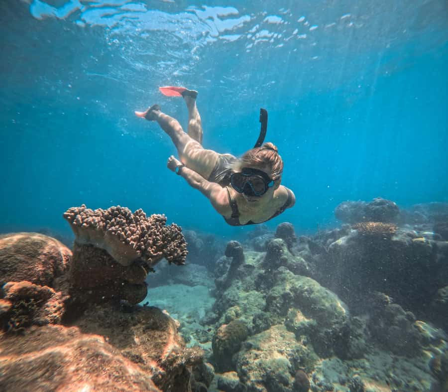 From Cairns: 2 Islands 1 day - Fitzroy & Green Islands - The catamaran timing: why the schedule feels manageable