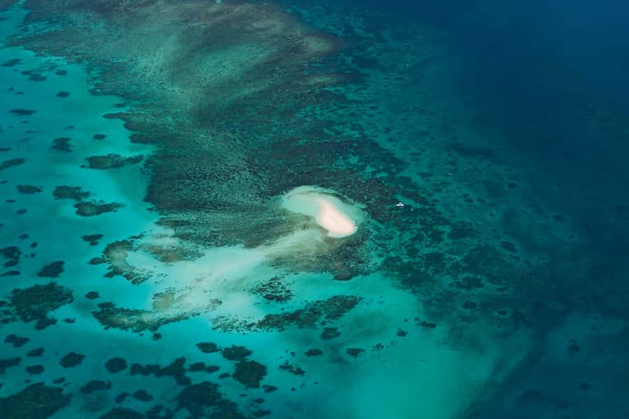 From Cairns: 40-Min Scenic Reef Window Seat Airplane Flight - Weather Might Change the Timing, But the Company Has a Plan
