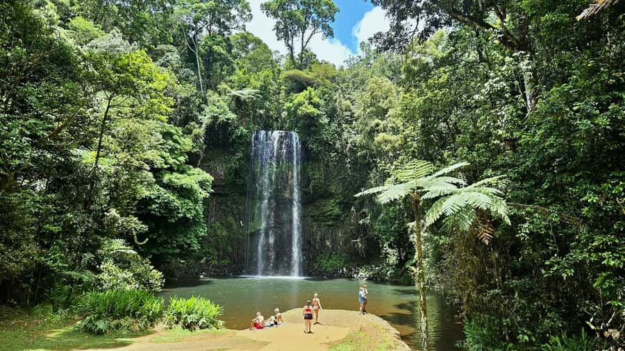 From Cairns: Atherton Tablelands and Paronella Park Day Trip - Key highlights that make this tour worth your time