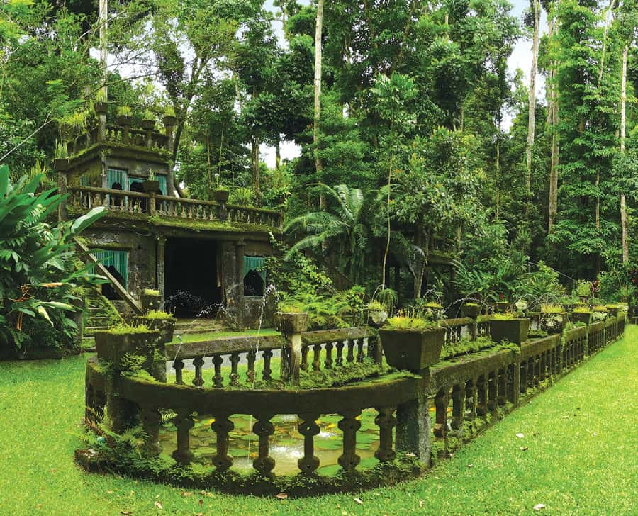 From Cairns: Atherton Tablelands and Paronella Park Day Trip - Curtain Fig Tree and Yungaburra: aerial roots, wildlife chances, and good photo timing