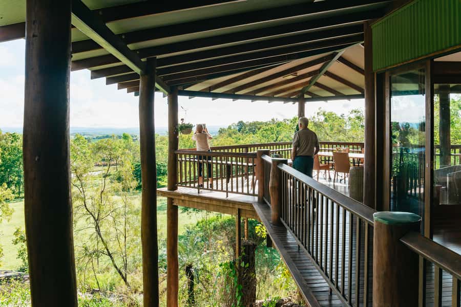 From Cairns: Chillagoe Caves and Outback Full-Day Tour - Granite Gorge Nature Park, rock wallabies and close-up wildlife time