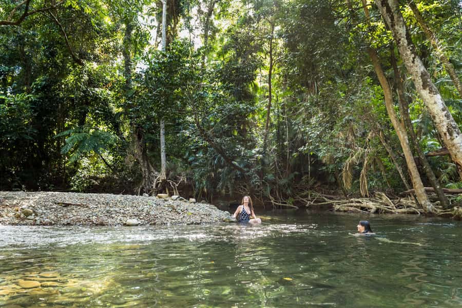 From Cairns: Daintree Rainforest & Cape Tribulation 4WD Tour - Who This Tour Fits Best (and Who Should Skip It)