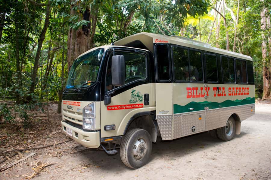 From Cairns: Daintree Rainforest & Cape Tribulation 4WD Tour - The Daintree River Cruise: Your Best Wildlife Odds