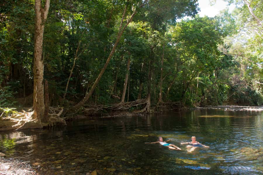 From Cairns: Daintree Rainforest & Cape Tribulation 4WD Tour - Price and Value: Is $162 Worth It?