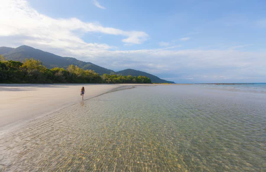 From Cairns: Daintree Wilderness & Cape Tribulation Bus Tour - The 13-hour loop that actually makes sense from Cairns