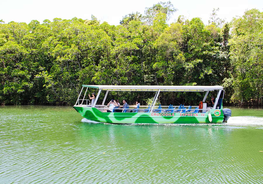 From Cairns: Daintree Wilderness & Cape Tribulation Bus Tour - Crossing the Daintree River by cable-driven vehicular ferry
